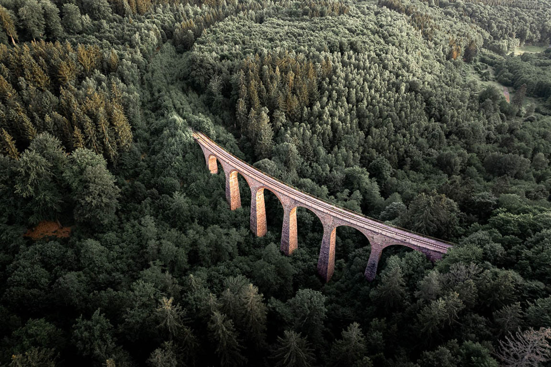 Viadukt im Wald by Elisabeth Früh